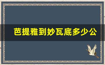 芭提雅到妙瓦底多少公里_缅甸土瓦与妙瓦地有多远