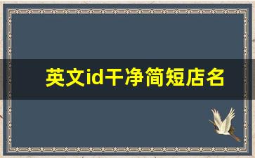 英文id干净简短店名_冷门且高级的店铺名字