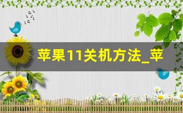 苹果11关机方法_苹果十一怎样关机