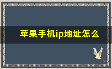 苹果手机ip地址怎么查询_苹果手机的ip地址是什么意思