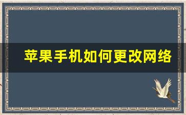 苹果手机如何更改网络dns