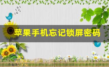 苹果手机忘记锁屏密码怎么弄