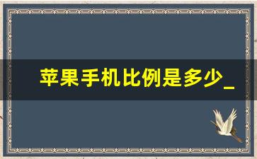 苹果手机比例是多少_手机屏幕怎么调成16比9