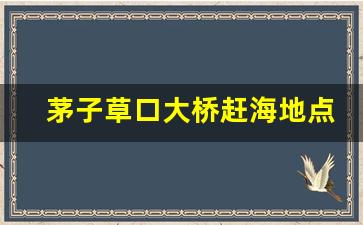 茅子草口大桥赶海地点