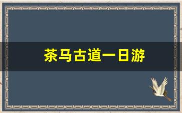 茶马古道一日游