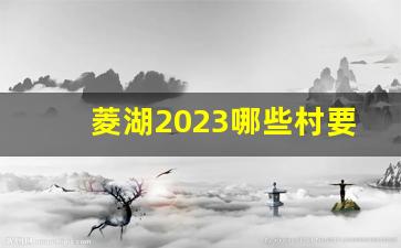 菱湖2023哪些村要搬迁