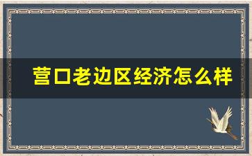 营口老边区经济怎么样