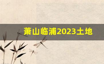 萧山临浦2023土地