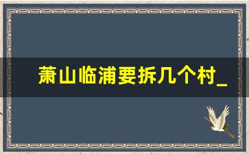 萧山临浦要拆几个村_临浦镇苧萝村近期新规