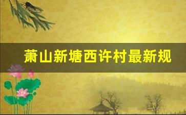 萧山新塘西许村最新规划_萧山高桥重建2024年