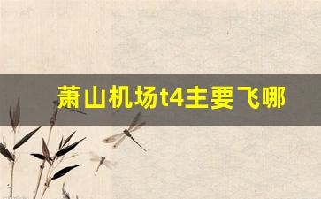 萧山机场t4主要飞哪里