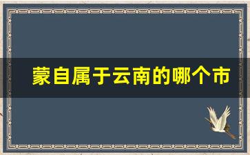 蒙自属于云南的哪个市_蒙自十大旅游景点