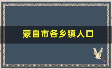 蒙自市各乡镇人口