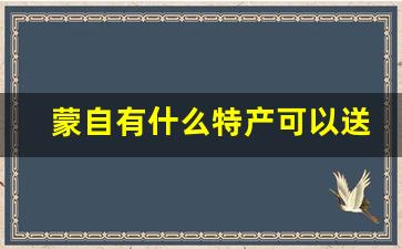 蒙自有什么特产可以送人