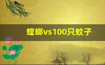 螳螂vs100只蚊子_小螳螂vs蓝蜘蛛