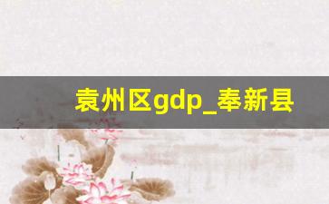 袁州区gdp_奉新县经济在江西排名