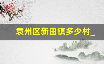 袁州区新田镇多少村_袁州区李勇军