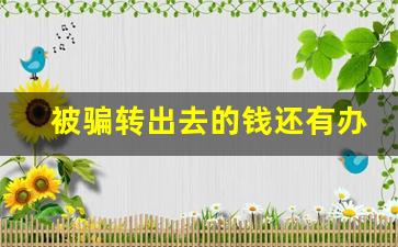 被骗转出去的钱还有办法补救吗_被骗的钱已经转走还能回来么