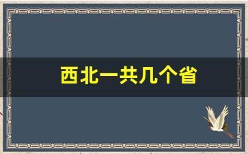 西北一共几个省