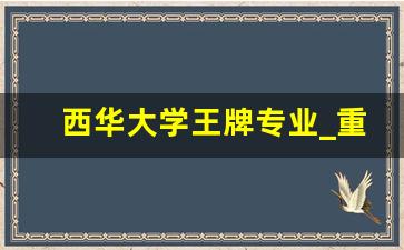 西华大学王牌专业_重庆交通大学的冷门专业