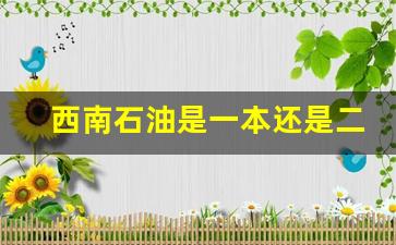 西南石油是一本还是二本院校_石油专业三本院校