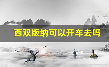 西双版纳可以开车去吗_西双版纳可以自己开车去吗