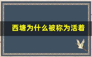 西塘为什么被称为活着的千年古镇_西塘古镇跟嘉善乐林新西塘远不远