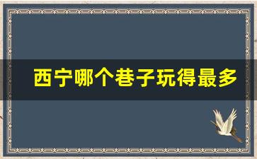 西宁哪个巷子玩得最多_西宁红星村一巷白天有好玩的吗