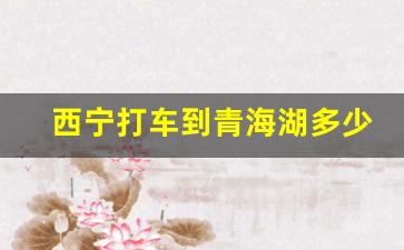 西宁打车到青海湖多少钱_西宁去青海湖大巴车60元吗