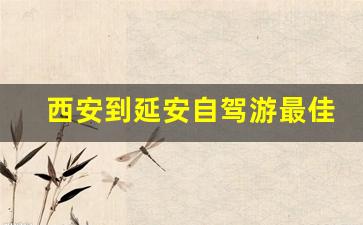 西安到延安自驾游最佳路线_西安出发4一5天自驾游