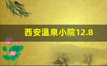 西安温泉小院12.8万_西安一房一汤私汤温泉酒店