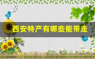 西安特产有哪些能带走_西安特色零食可以带走的