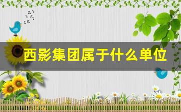 西影集团属于什么单位_西影公司相关资料