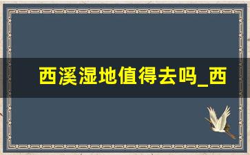 西溪湿地值得去吗_西滩湿地公园有必要去吗