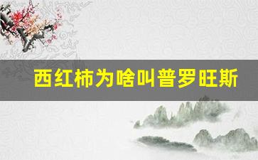 西红柿为啥叫普罗旺斯_普罗旺斯西红柿的功效