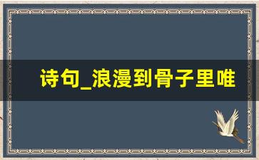 诗句_浪漫到骨子里唯美诗