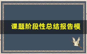 课题阶段性总结报告模板_课题里主要阶段性成果