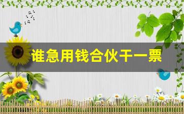 谁急用钱合伙干一票