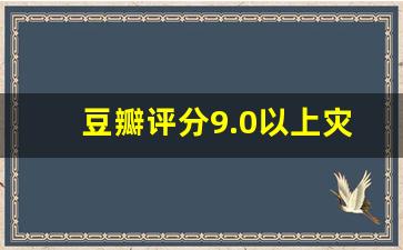 豆瓣评分9.0以上灾难片