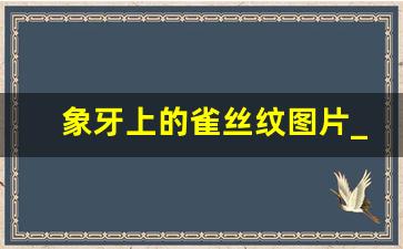 象牙上的雀丝纹图片_象牙的纹路都是菱形纹吗