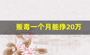 贩毒一个月能挣20万么_贩毒一年能赚一个亿吗