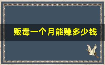 贩毒一个月能赚多少钱_帮人运1斤毒品可以赚多少