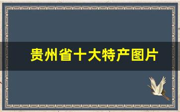 贵州省十大特产图片