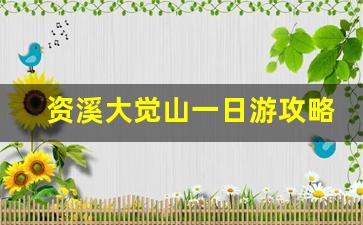 资溪大觉山一日游攻略路程