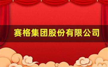 赛格集团股份有限公司_深圳市赛格集团级别