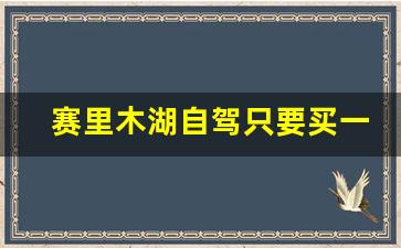 赛里木湖自驾只要买一张票吗