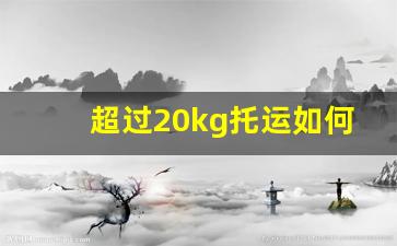 超过20kg托运如何收费_飞机20kg很容易超过吗