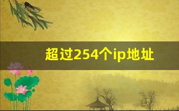 超过254个ip地址