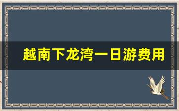 越南下龙湾一日游费用