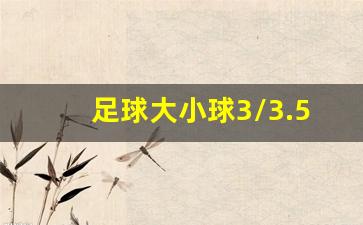 足球大小球3/3.5是什么意思